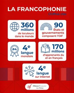 Le français, une chance pour ton avenir. 🇫🇷
¿Quieres saber más?
💻 Accedé a la oferta de cursos desde nuestro sitio web disponible en nuestra bio.
📩Contactos:
info@alianzaflp.org / 📲/ +34 689 72 88 85

#alianzafrancesadelaspalmas #cursosdefrancés #delf #dalf #aprenderfrances #islascanarias #delfjunior #laspalmasdegrancanaria #idiomas #estudiarfrances