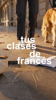 Que nada se interponga con tus clases de francés😉🇫🇷
¡Ya tenemos disponible la oferta de cursos 26-27!😍🇫🙌
👉LINK: https://sites.google.com/view/ofertacursos/2026-2027...

#francesentuvida #alliancefrancaise #laspalmasdegrancanaria❤️ #delf #delfjunior #culturafrancesa #cursosdeverano #alianzafrancesalaspalmas #aprenderfrancés #dalf #francés #estudiarfrances #examendefrancés